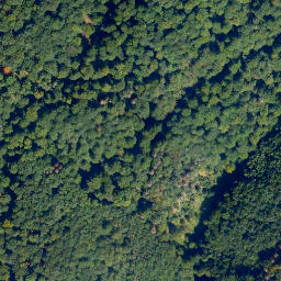 Satellite imagery of Langscheids-Berg, DE