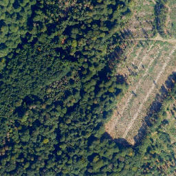 Satellite imagery of Langscheids-Berg, DE