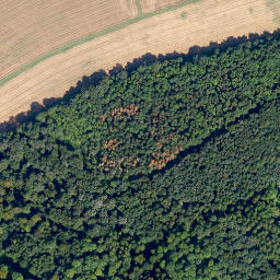 Satellite imagery of Aussick, DE