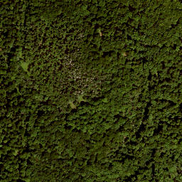 Satellite imagery of Rückberg, DE