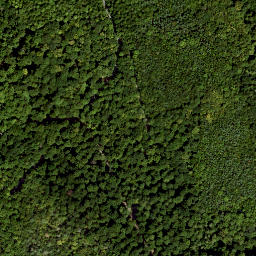 Satellite imagery of Rehberg, DE