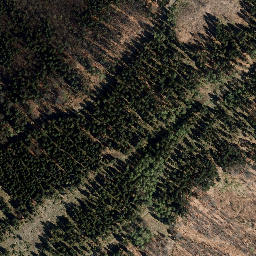 Satellite imagery of Loosbrand, DE