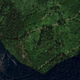 Satellite imagery of Borůvková hora [Javorník - Horní Hoštice] outlook t., CZ