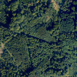 Satellite imagery of Eisenköppel-Berg, DE