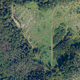 Satellite imagery of Langscheids-Berg, DE