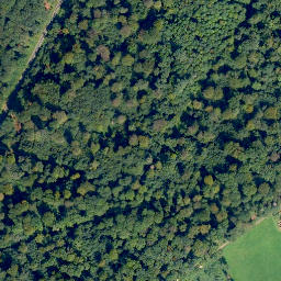 Satellite imagery of TP - Trigonometrischer Punkt, FR