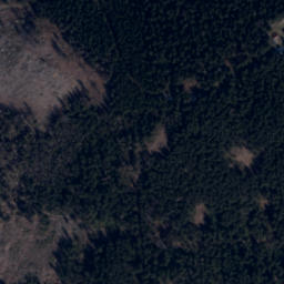 Satellite imagery of Borůvková hora [Javorník - Horní Hoštice] outlook t., CZ