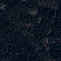 Satellite imagery of Borůvková hora [Javorník - Horní Hoštice] outlook t., CZ