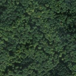 Satellite imagery of Schollenberg, DE