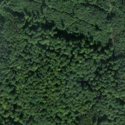 Satellite imagery of Schollenberg, DE