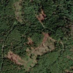 Satellite imagery of Schwedenstein, DE