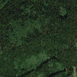 Satellite imagery of Liščí skála [Javorník-Travná], CZ