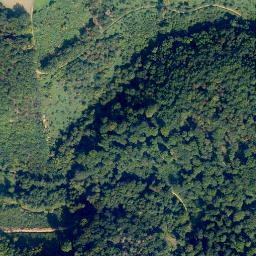 Satellite imagery of Dachsberg, DE