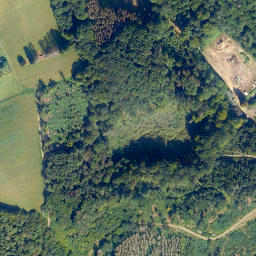 Satellite imagery of Mühlberg, DE