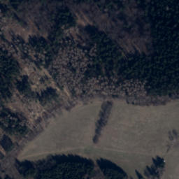 Satellite imagery of Panský kopec [Olešnice v Orlických horách], CZ