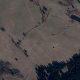 Satellite imagery of (Hraniční les) [Olešnice v Orlických horách], CZ