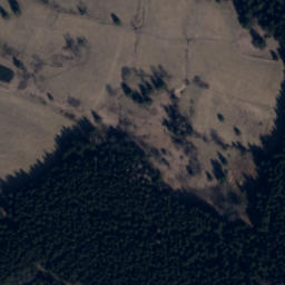 Satellite imagery of (Hraniční les) [Olešnice v Orlických horách], CZ