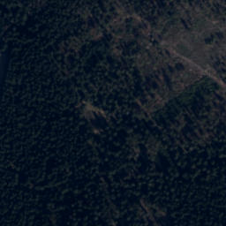 Satellite imagery of (Hraniční les) [Olešnice v Orlických horách], CZ