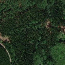 Satellite imagery of Liščí skála [Javorník-Travná], CZ
