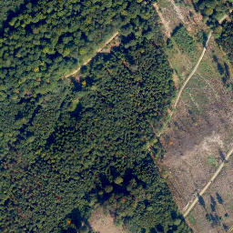 Satellite imagery of Höchst, DE