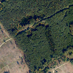 Satellite imagery of Höchst, DE