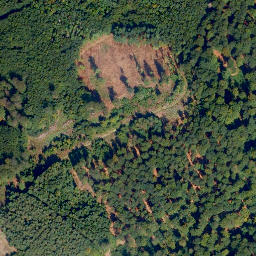 Satellite imagery of Höchst, DE