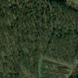 Satellite imagery of Hoheforst, DE