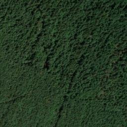 Satellite imagery of Debachsberg, DE