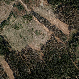 Satellite imagery of Jagdshofer Berg, DE