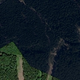 Satellite imagery of (Hraniční les) [Olešnice v Orlických horách], CZ