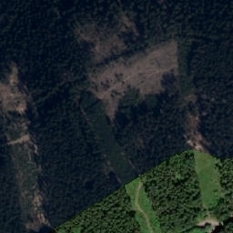 Satellite imagery of (Hraniční les) [Olešnice v Orlických horách], CZ