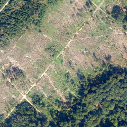 Satellite imagery of Diel-Kopf, DE