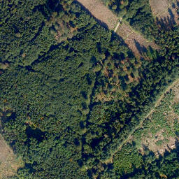 Satellite imagery of Höchst, DE