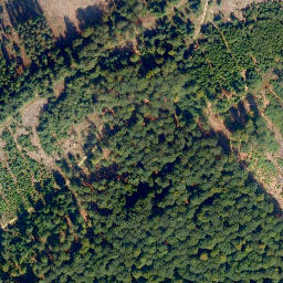 Satellite imagery of Höchst, DE