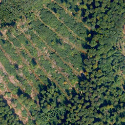 Satellite imagery of Höchst, DE