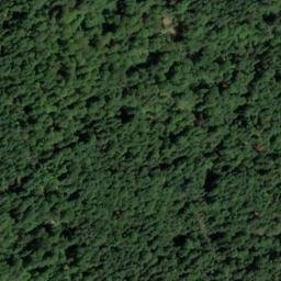 Satellite imagery of Schweinberg, DE