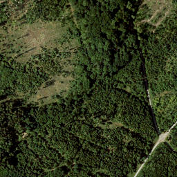 Satellite imagery of Reutberg, DE