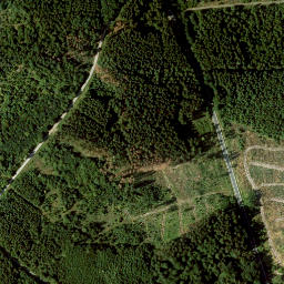 Satellite imagery of Reutberg, DE
