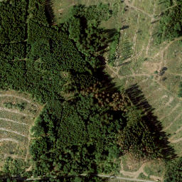 Satellite imagery of Reutberg, DE