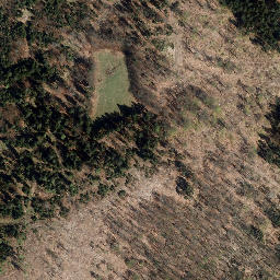 Satellite imagery of Spitzberg, DE