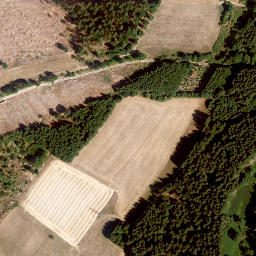 Satellite imagery of Oschenberg, DE