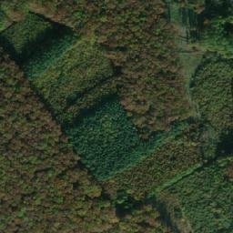 Satellite imagery of (Dub) [Slatiny-Milíčeves], CZ