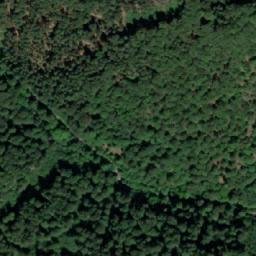 Satellite imagery of Kozí hřbet [Česká Čermná], CZ