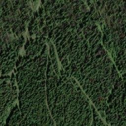 Satellite imagery of Silver Star Mountain, CA