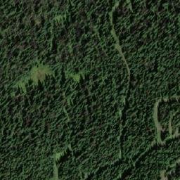 Satellite imagery of Silver Star Mountain, CA