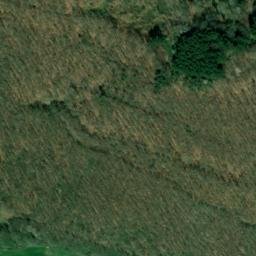 Satellite imagery of Sulzbusch, DE
