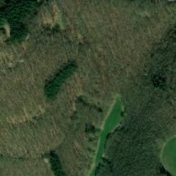 Satellite imagery of Sulzbusch, DE