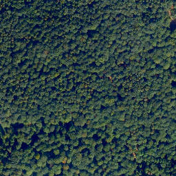 Satellite imagery of Großer Kopf, DE