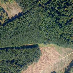 Satellite imagery of Höchst, DE