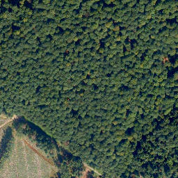 Satellite imagery of Höchst, DE